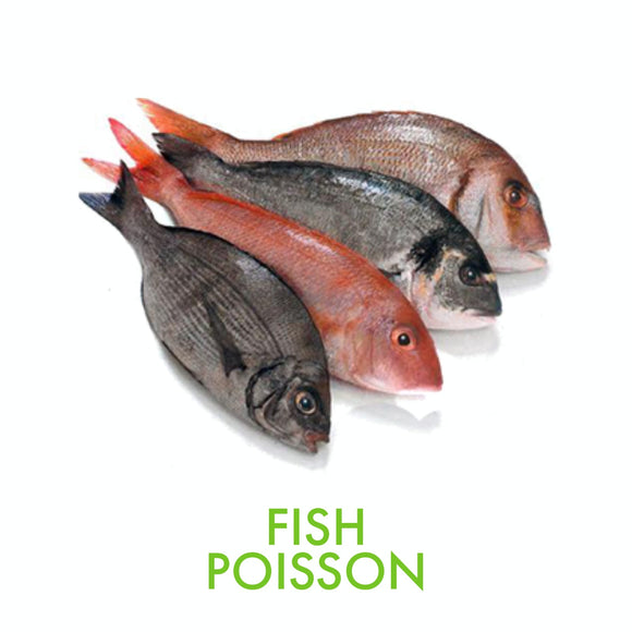 kosher fish shoppy.co.il fresh fish sushi salmon denis tuna buri