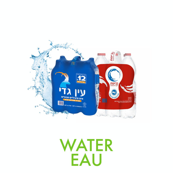 shoppy.co.il water neviot ein gedi mei eden fruit water supermarket israel drink beverage delivery grocery
