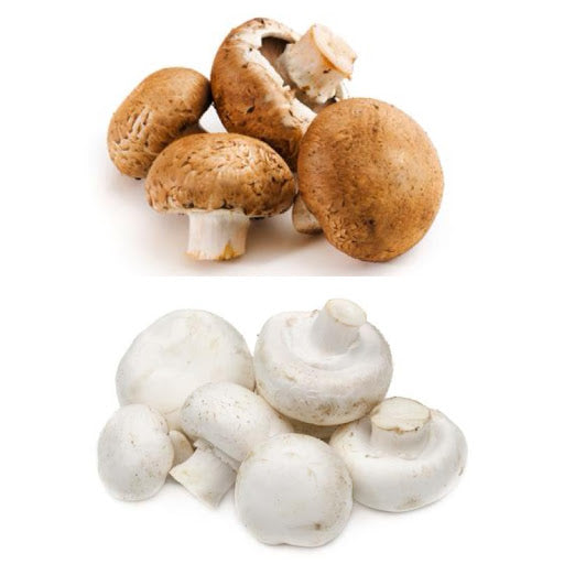 Duo Pack of Mushrooms