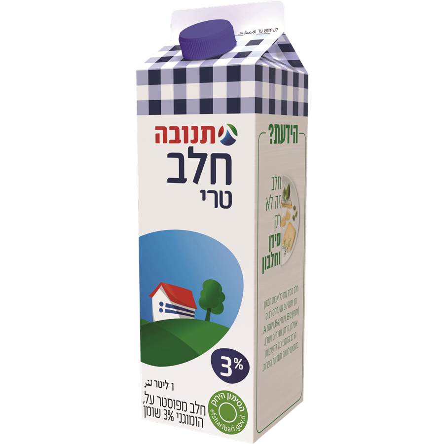 Camion Laitier GAMDA Avec Bâche - Tnuva Dairy Products, Israël, Dans Sa Boîte