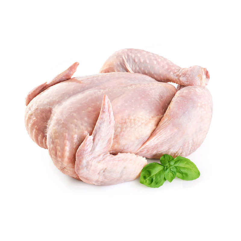 Fresh Whole Chicken Shoppy Supermarket Israel