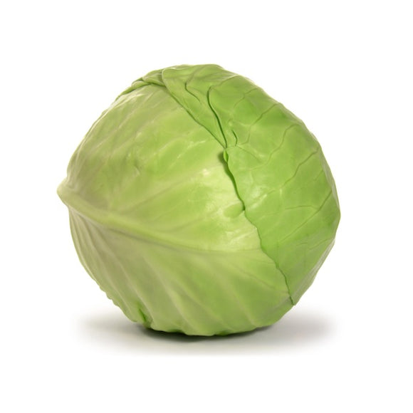 White Cabbage Green