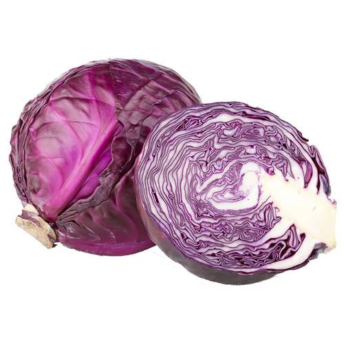 Red Cabbage Purple