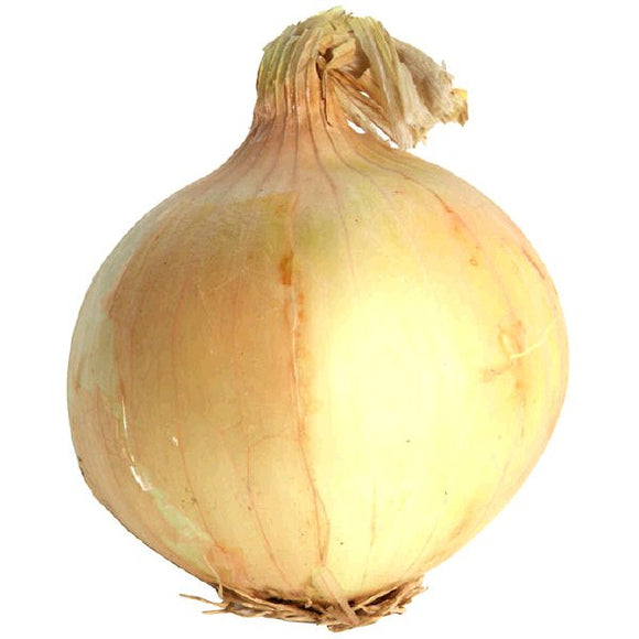 Yellow (White) Onion