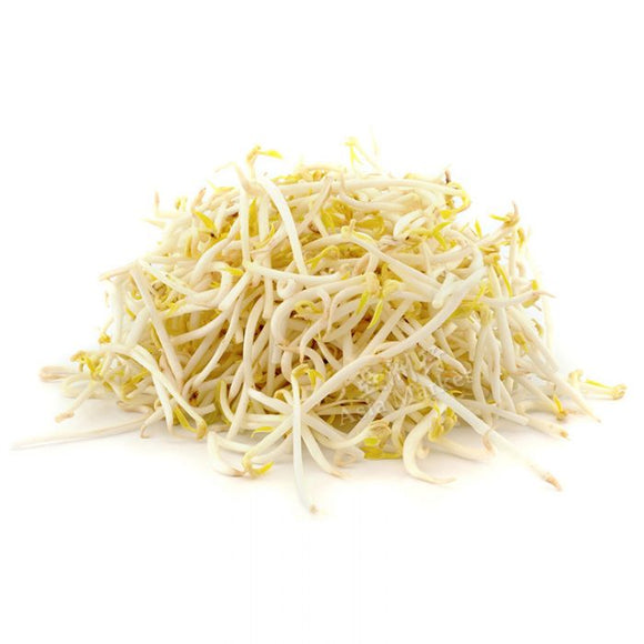Chinese Bean Sprouts