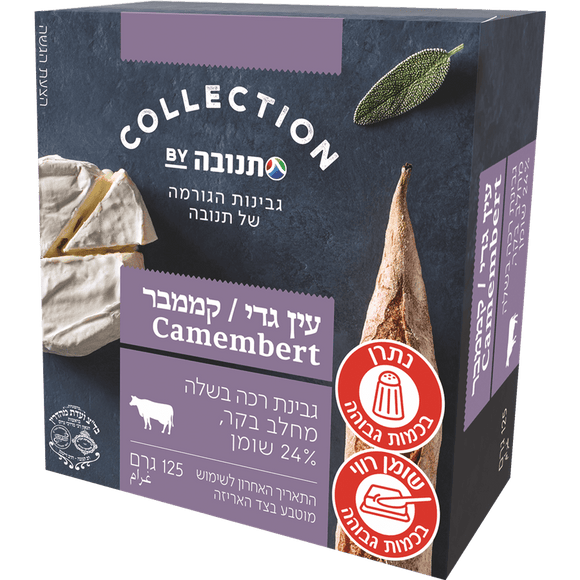 Tnuva Collection Camembert Cheese 24%
