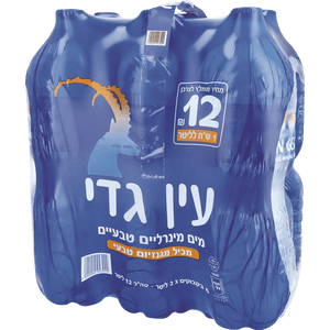 Ein Gedi Water - 6 x 2 liter