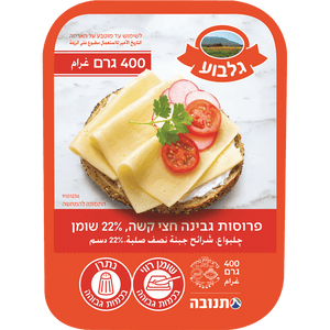 Gilboa Sliced Yellow Cheese 22%