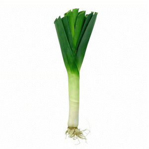 Leek