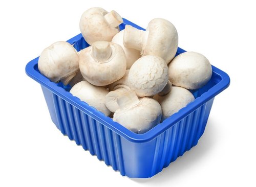 White Champignon Mushrooms