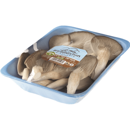 Oyster Mushrooms - Forest Mushrooms