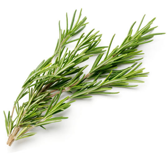 Rosemary (Per Package)