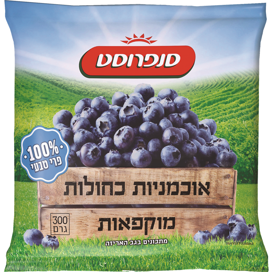 Frozen Blueberries Shoppy Supermarket Israel