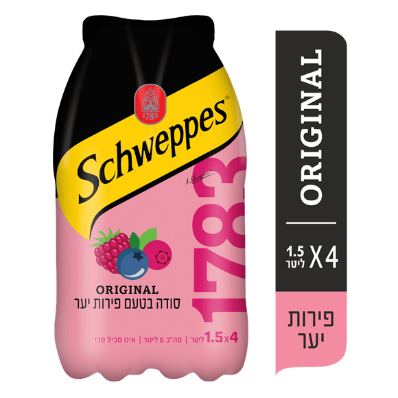 Schweppes Berry Soda Water
